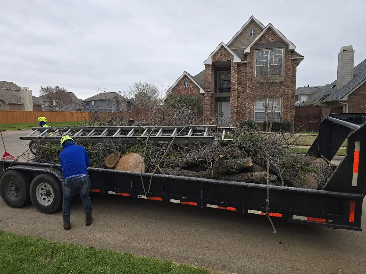 Expert Tree Pest Control with proper safety equipment in Dayton